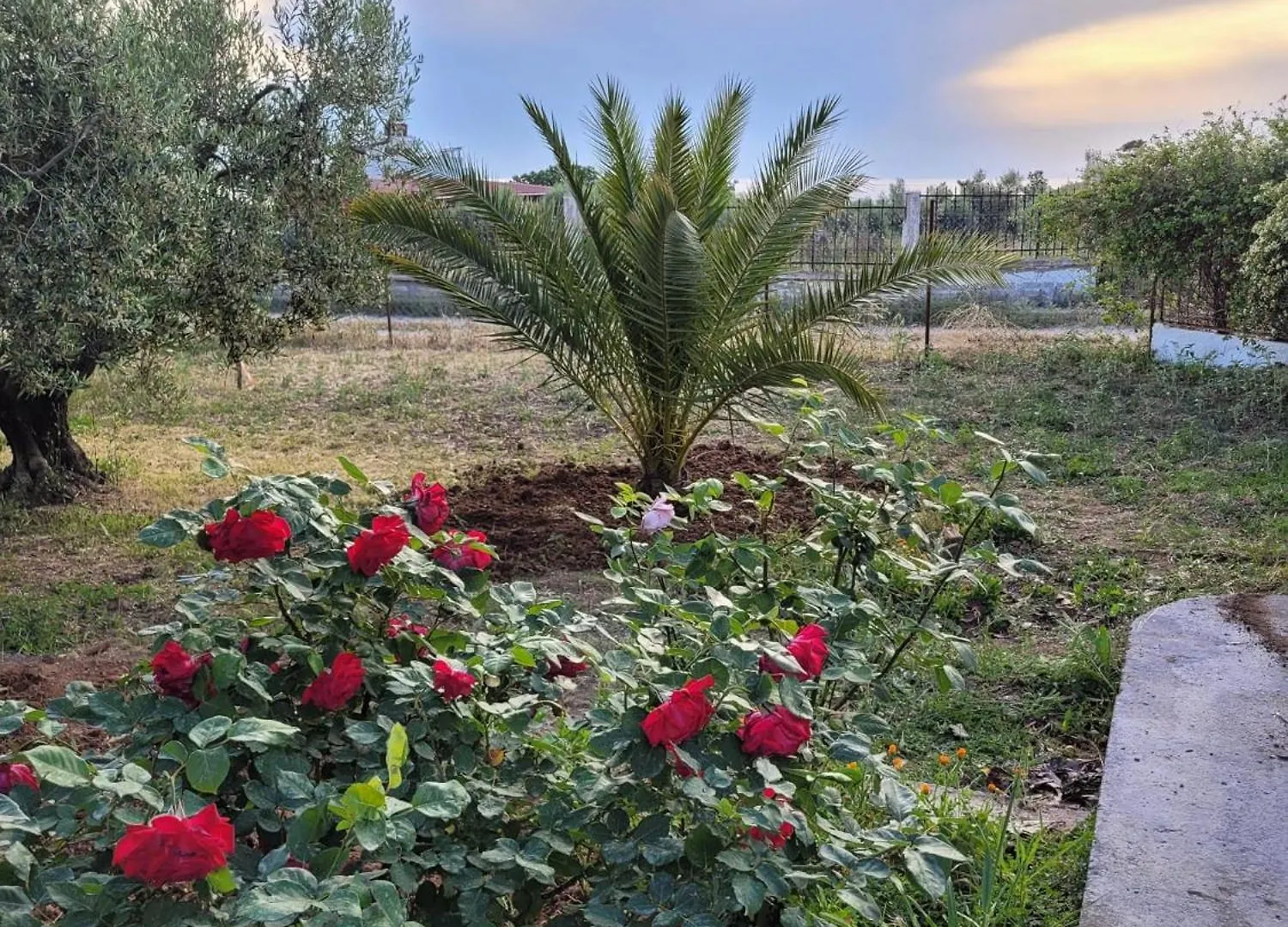 Apartment Villa Blanca With Sea View Near Sozopoli